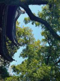 穿越600年打卡中國最古老嘅私家藏書樓