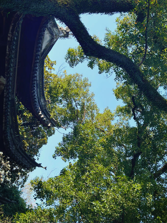 穿越600年打卡中國最古老嘅私家藏書樓