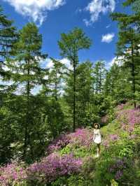 瀋陽周邊遊|搵到通往杜鵑花海嘅山間小路