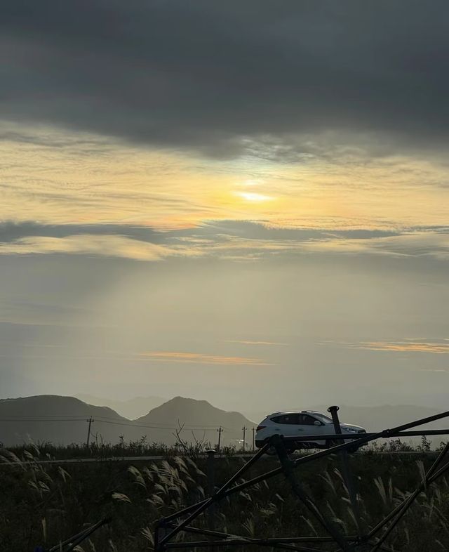 探索山野清新之旅