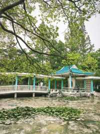合肥古逍遙津｜穿越千年的古典徽派公園