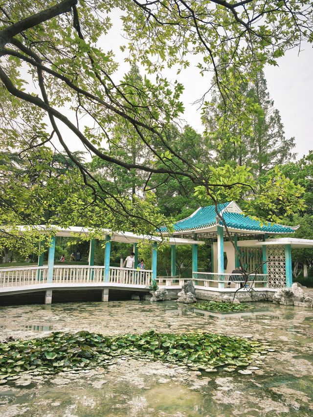 合肥古逍遙津｜穿越千年的古典徽派公園
