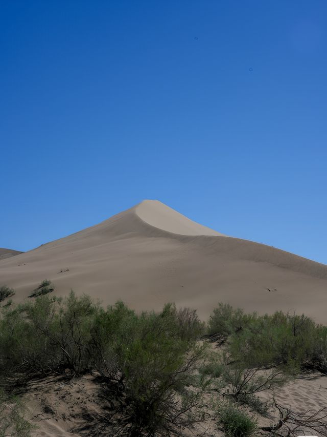 阿拉木圖周邊遊 火星漫步阿克套峽谷
