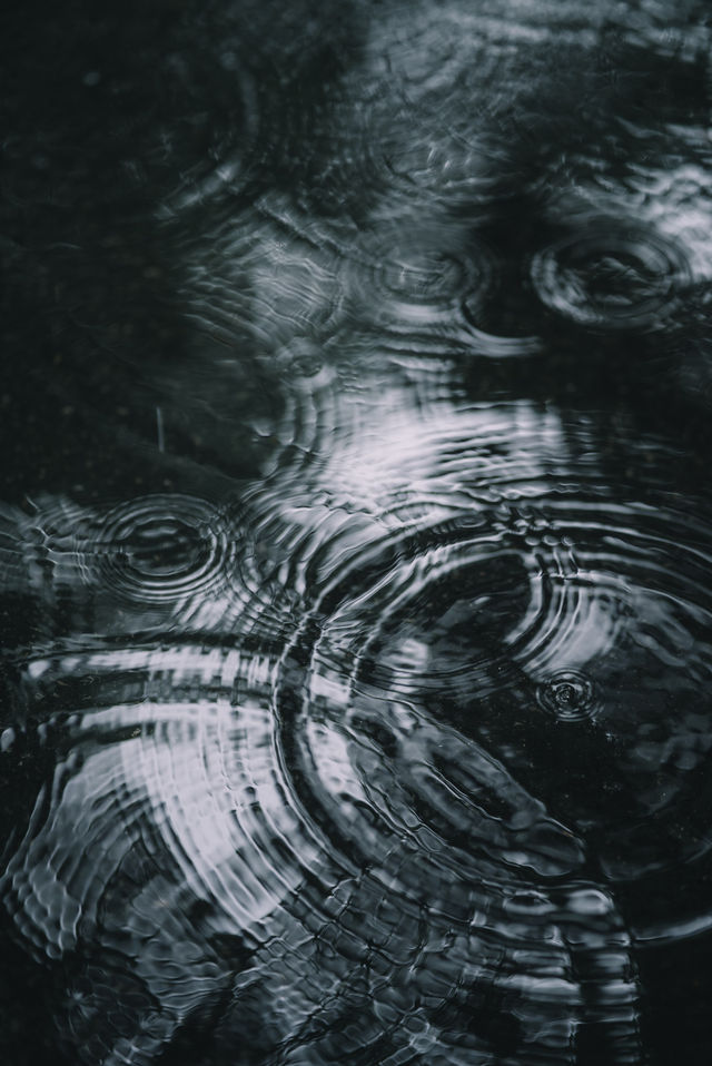 喺杭州，落雨天隨手一影就通往《言葉之庭》