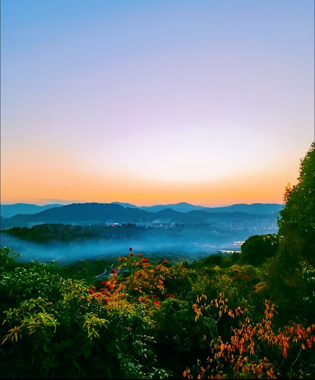 （去有風的地方2）取景地曝光 劉亦菲都來過這裡飲茶