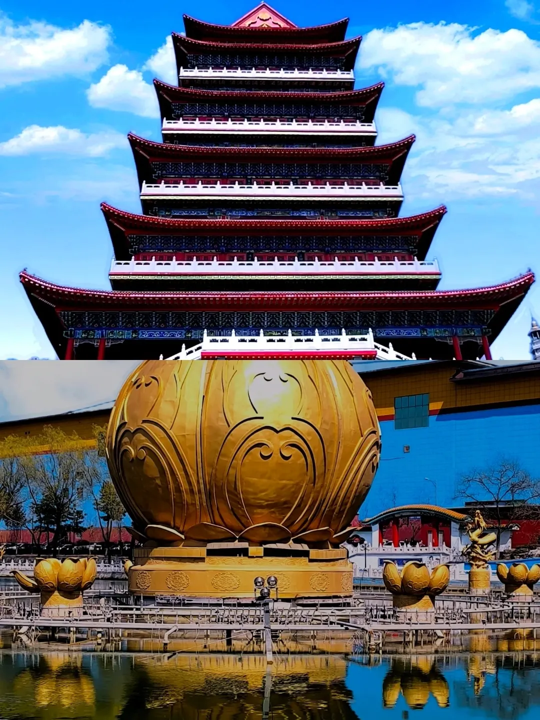 Lingyuan dari Liaoning telah kembali, menceritakan beberapa kebenaran yang tidak menyenangkan