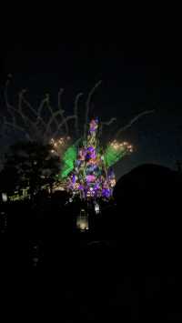 Tips for Visiting Disneyland Paris