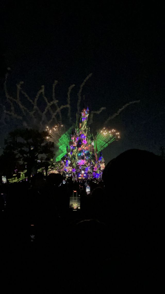 Tips for Visiting Disneyland Paris