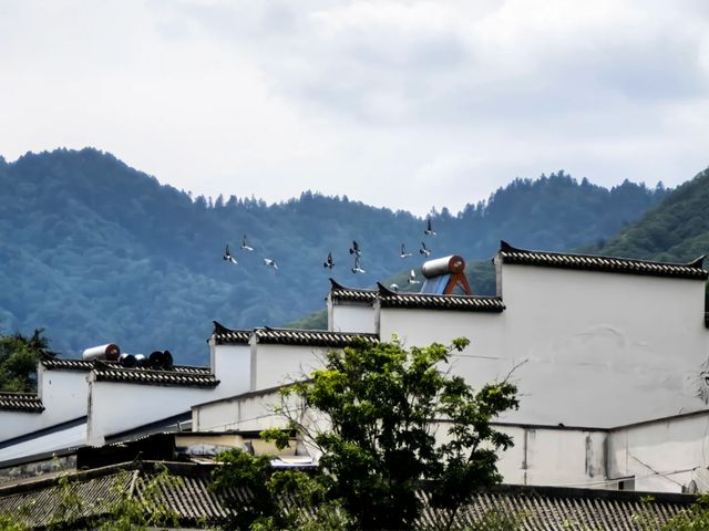 西安1.5小時直達超仙玩水勝地