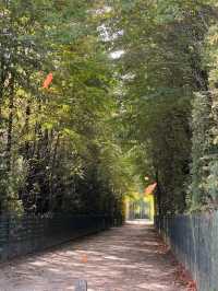 Versailles Palace: A Majestic Experience Worth Every Moment