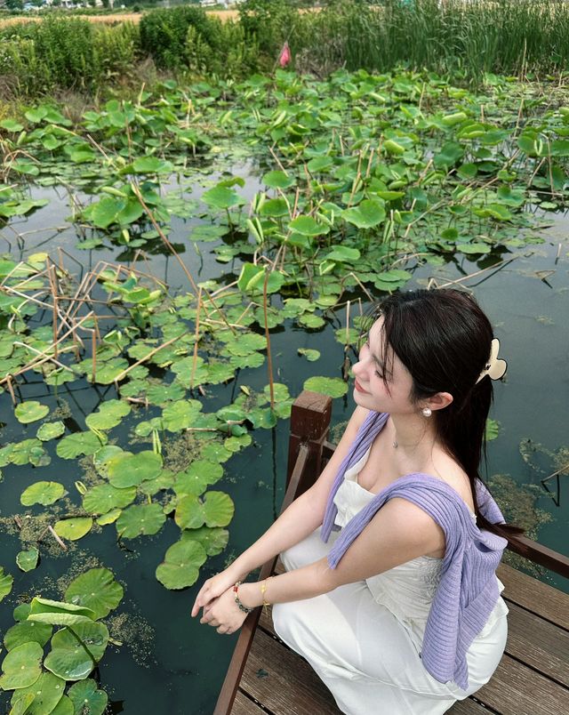 合肥一小時車程外丨盡有萬畝荷塘私浴