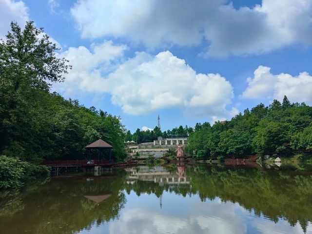 信陽市旅遊攻略