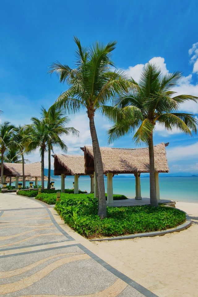 深圳獨家潮趣旅行指南，解鎖鵬城新玩法