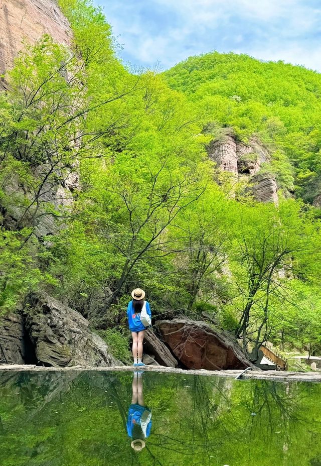 逃離城市 | in洛陽