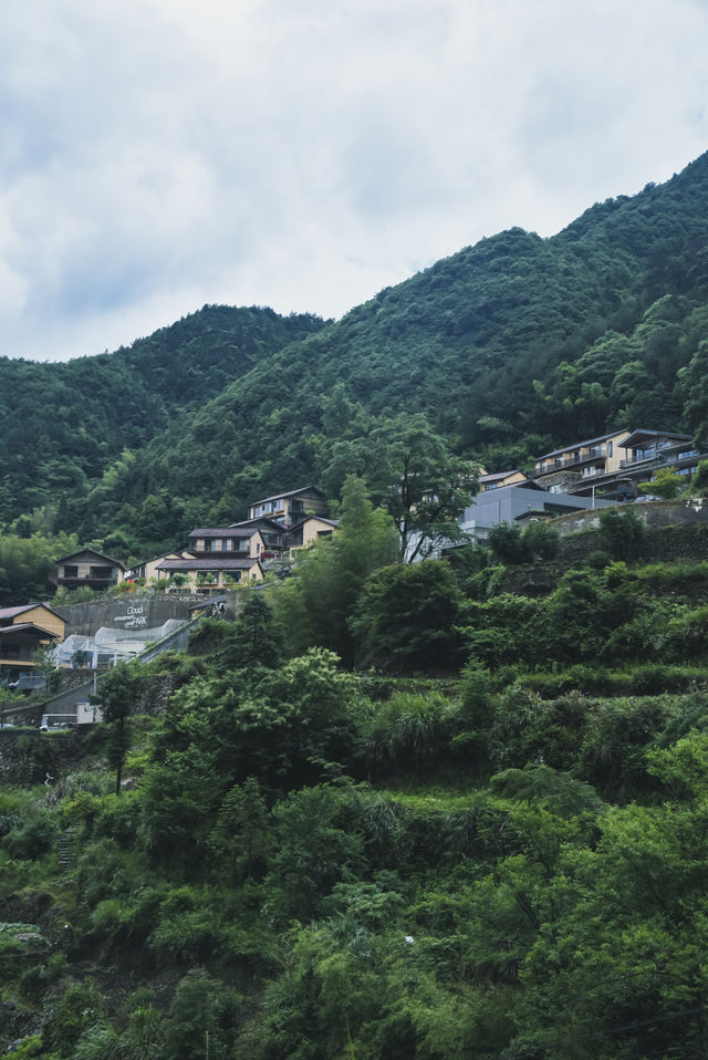 雨季嘅松陽，再次激起我隱居嘅心