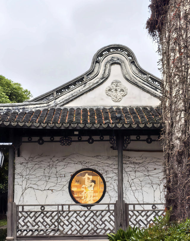 烏鎮：煙雨入江南 山水如墨染