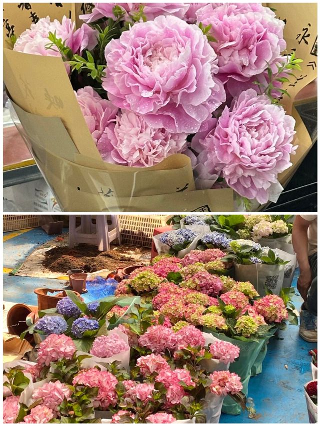 雲南鮮花市場花海裡走走全身心舒爽真美好