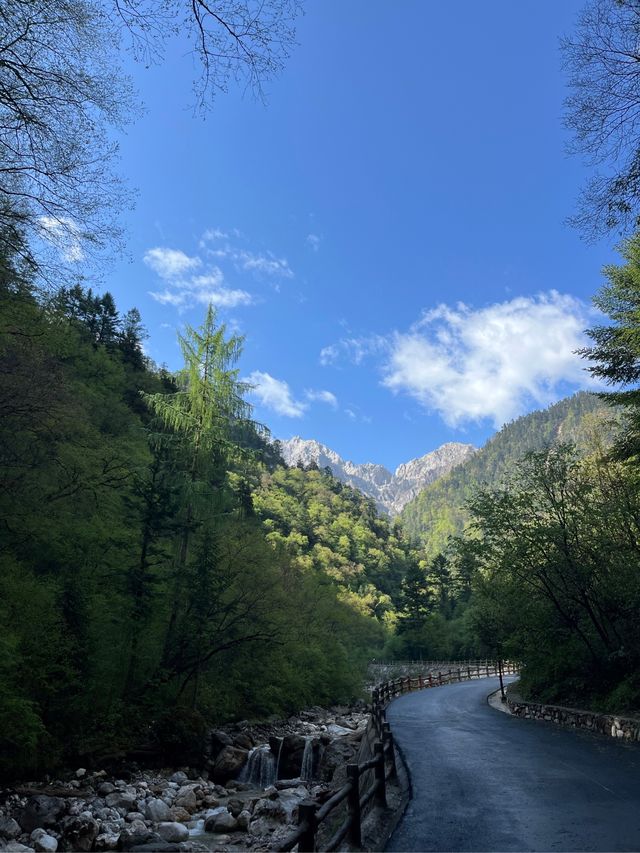 適合六七月份遊玩地，廣東珠海，長隆海洋王國