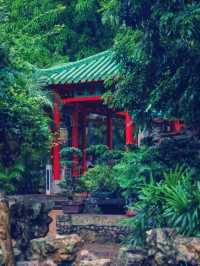 【澳門隱世秘境】盧廉若公園：東方小蘇州園林之美🏯