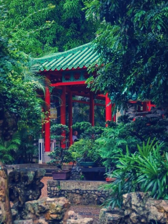 【澳門隱世秘境】盧廉若公園：東方小蘇州園林之美🏯