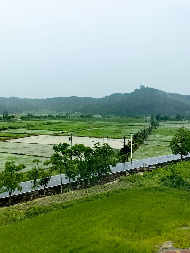 鄉土中國——高鐵沿途嘅風景（東南）