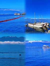 治癒系大海