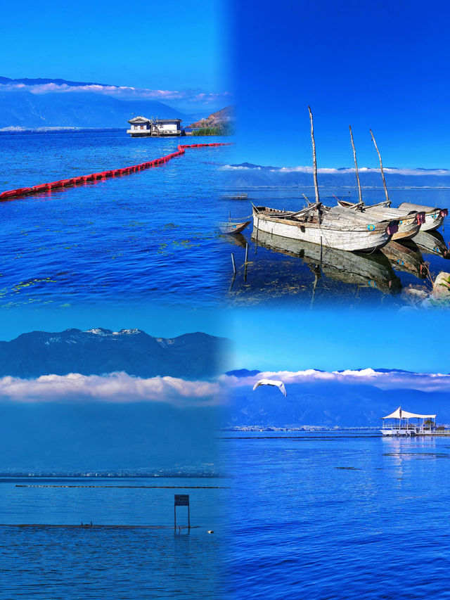 治癒系大海