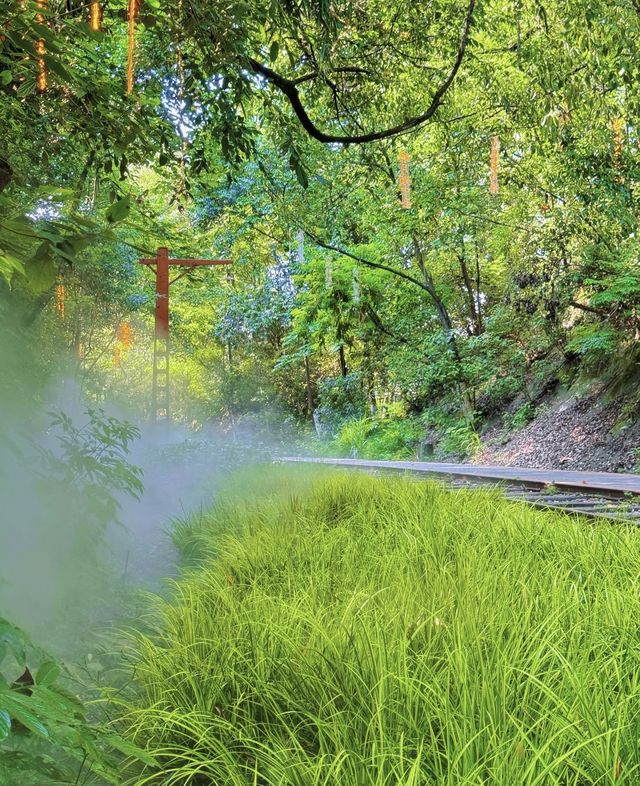 沙坪壩咁小眾嘅地方唔可以畀你哋唔知道