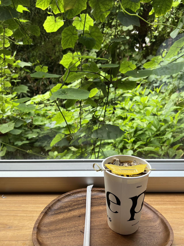 🌿曼谷必衝！為了這扇窗願意無限飛的PULSE咖啡☕️