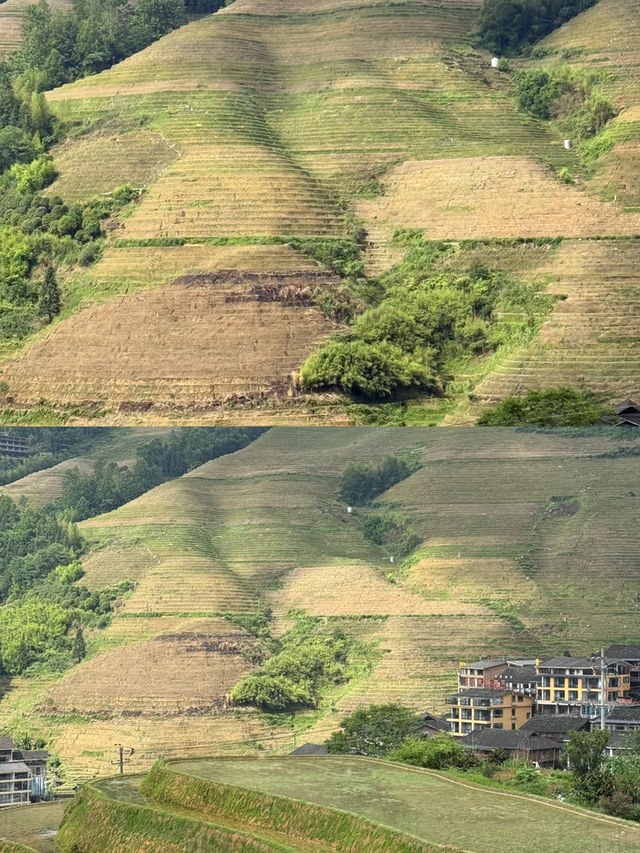 龍脊梯田頂配度假攻略