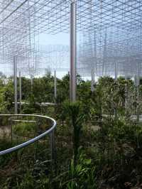 大阪世博｜建築迷兩日暴走紀實