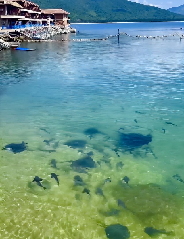 比起三亞，我更鍾意人少景靚嘅陵水小島