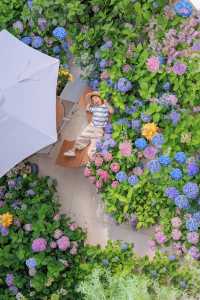 青島小眾秘密拍照基地 被花海包圍的夏天