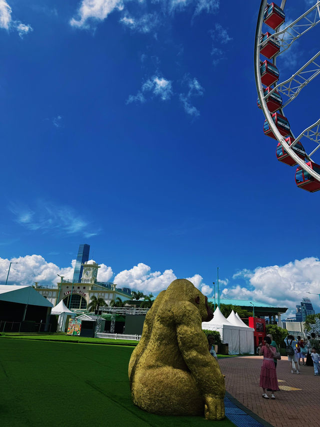 🎡香港必打卡！維港摩天輪俯瞰萬家燈火，浪漫值直接爆表！