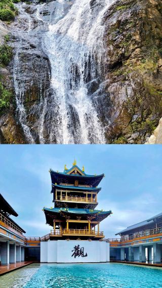 Discover the Wellness Journey in "China's Mugwort Capital"