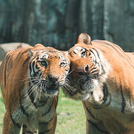 9 Kid-Friendly Day Trips from Shanghai for Family Fun ❤️