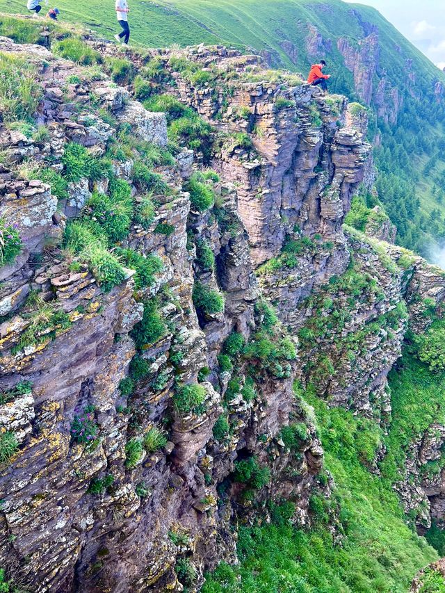 人均399住進現實版莫奈花園—雲海崖