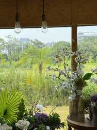 佛山秘境！闖入現實版「莫奈花園」