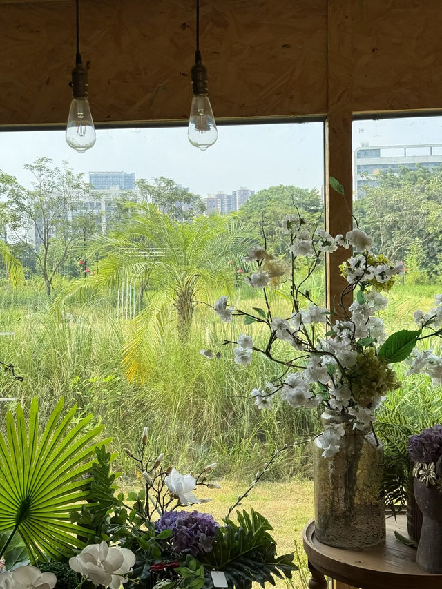 佛山秘境！闖入現實版「莫奈花園」