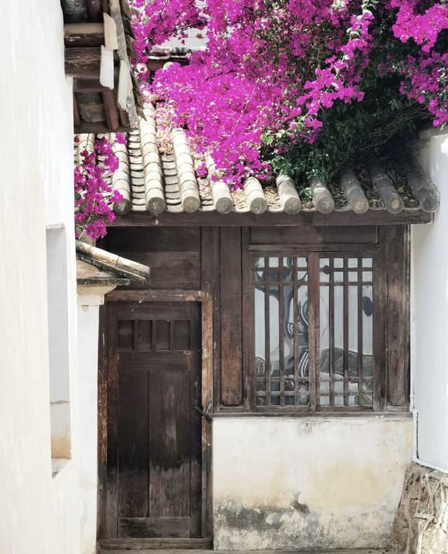 參觀昆明梁思成林徽因舊居|講解老師好棒