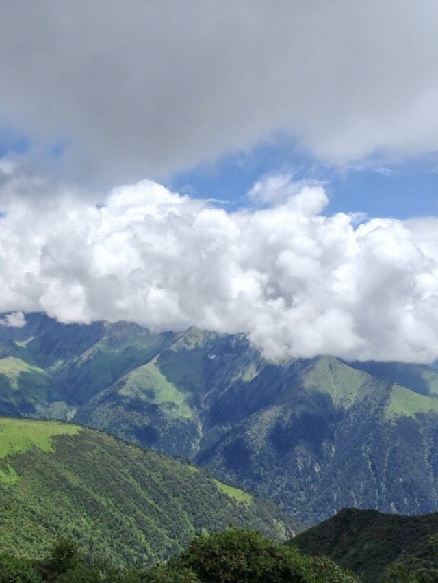 巴郎山：雲端的羌藏走廊