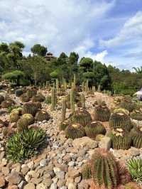 暑假親子遊|彌勒太平湖森林公園(附攻略)