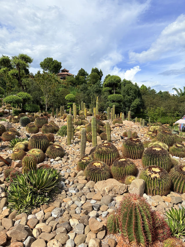 暑假親子遊|彌勒太平湖森林公園(附攻略) 暑假親子遊|彌勒太平湖森林公園(附攻略)