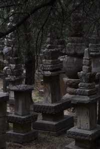 靈巖寺|墓塔林