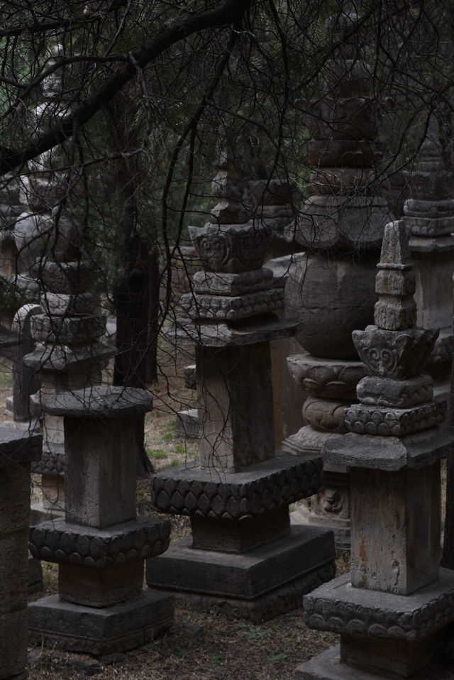 靈巖寺|墓塔林 靈巖寺|墓塔林