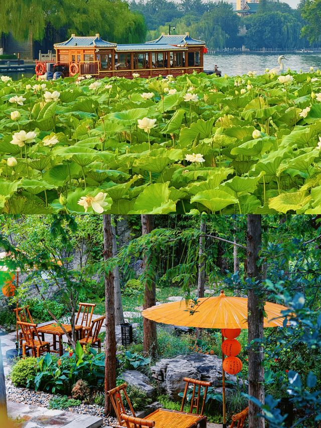 不止「夏雨荷」!大明湖燈會、畫舫、廟會,濟南韻味十足! 不止「夏雨荷」!大明湖燈會、畫舫、廟會,濟南韻味十足!