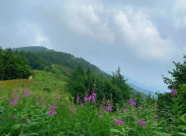 22℃的夏天!華北最大白樺林+冰川石海,這個避暑秘境藏不住了!   寶貝們!我不允許還有人沒去過 22℃的夏天!華北最大白樺林+冰川石海,這個避暑秘境藏不住了!   寶貝們!我不允許還有人沒去過
