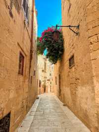Exploring Malta: Valletta Stay, Birgu Day, and Easy Travels