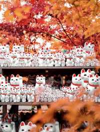 日本紅葉3大區穩妥觀賞期指南來啦