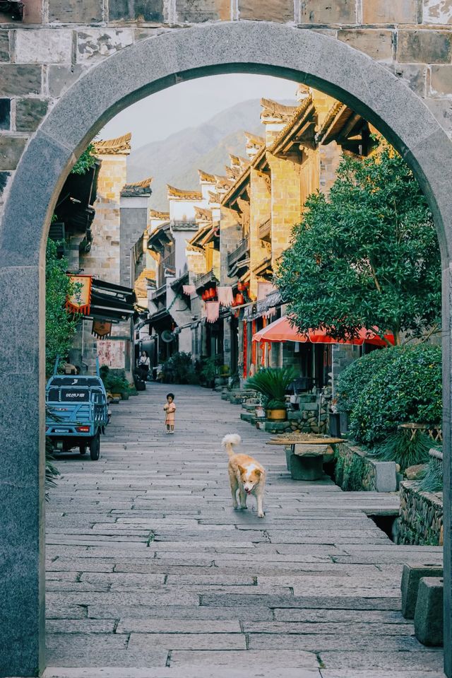浙西秘境丨江山2日遊,這三個小眾打卡地絕了! 浙西秘境丨江山2日遊,這三個小眾打卡地絕了!